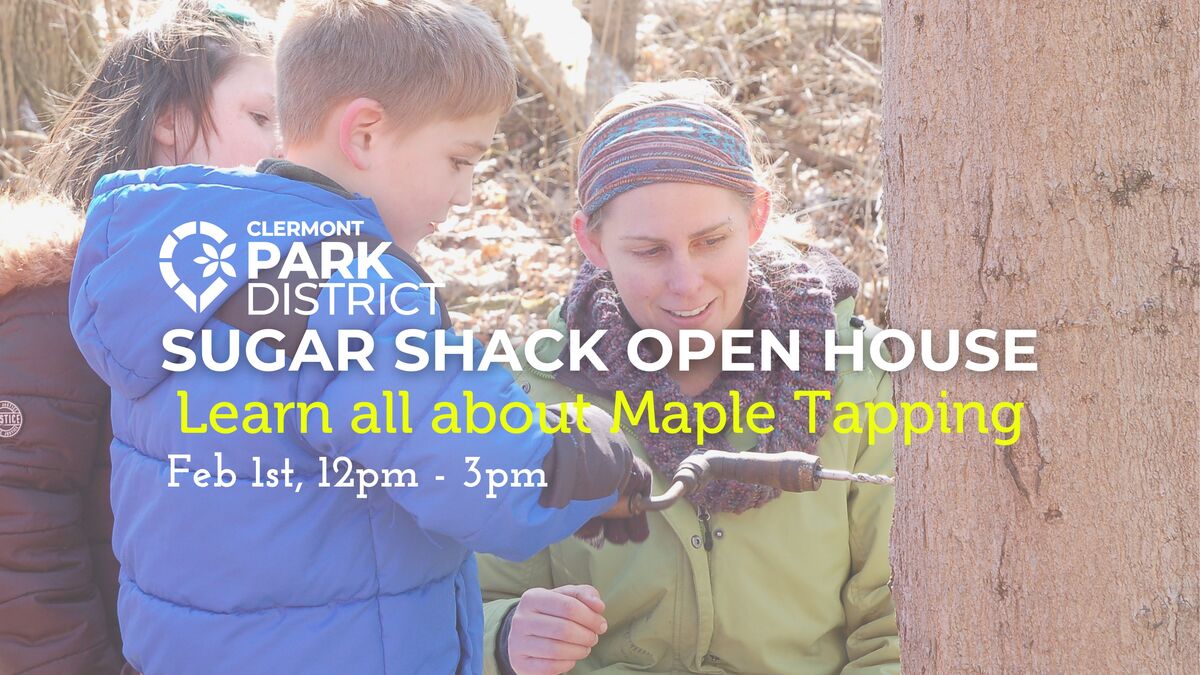 A naturalist helping two children use a historic drill to tap a maple tree